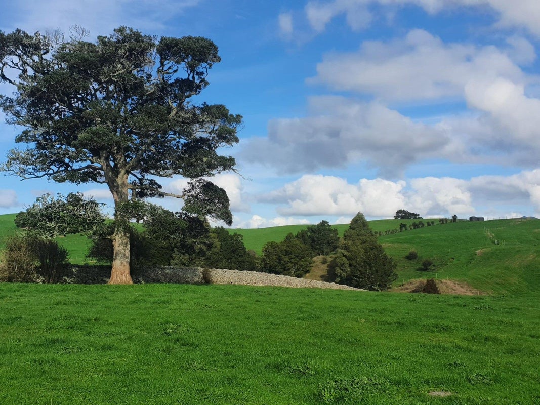 121 Springs Road, Whangarei - Carousel 1