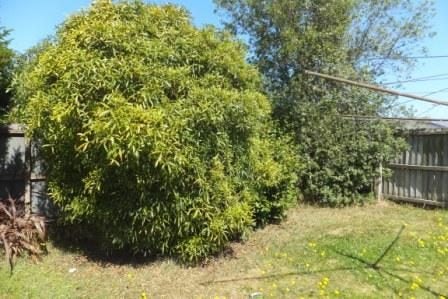 126 Middlepark Road, Sockburn, Christchurch - Carousel 2