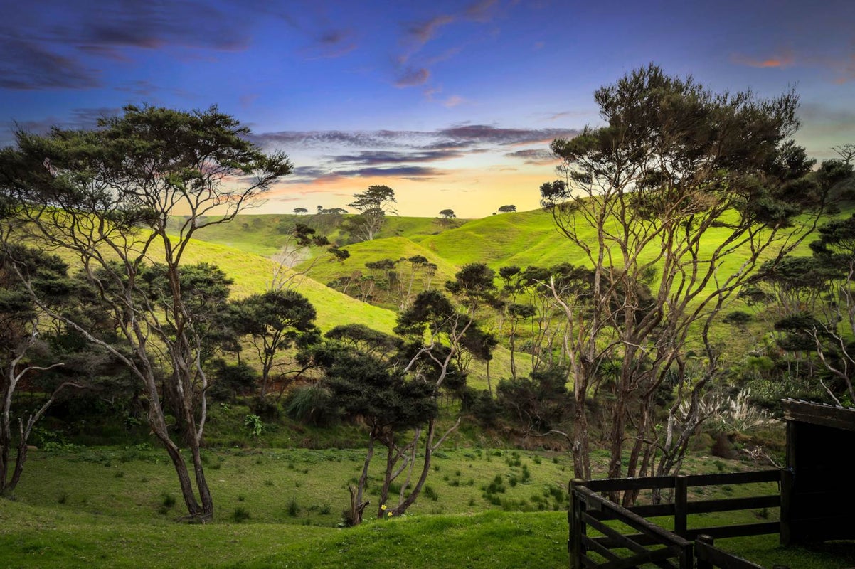 126 Taiapa Road, Muriwai, Muriwai - Carousel 2
