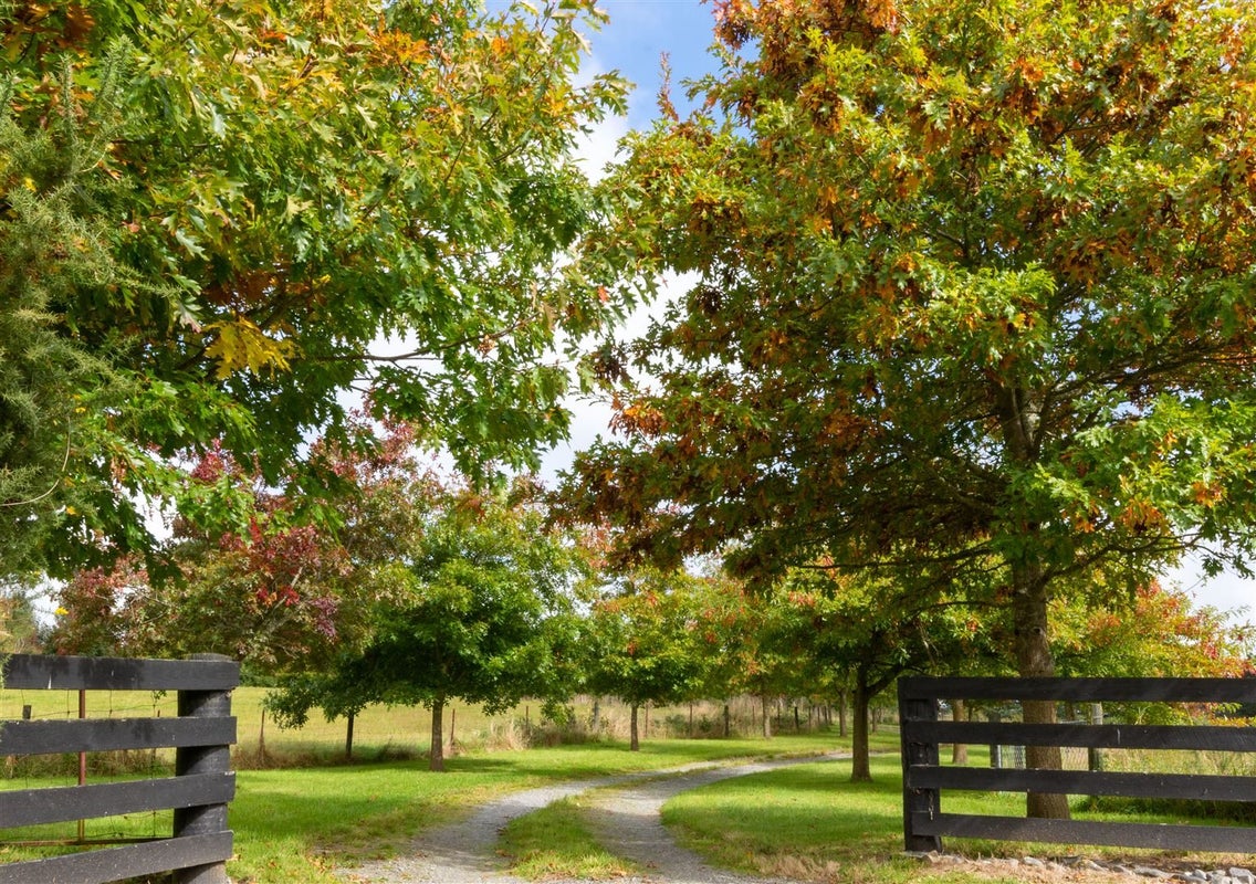 251 Summerhill Road, Cust, Rangiora - Carousel 25