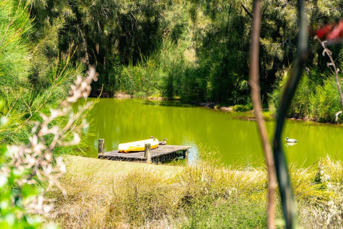47 Gumdiggers Lane, Kaiwaka - Carousel 2