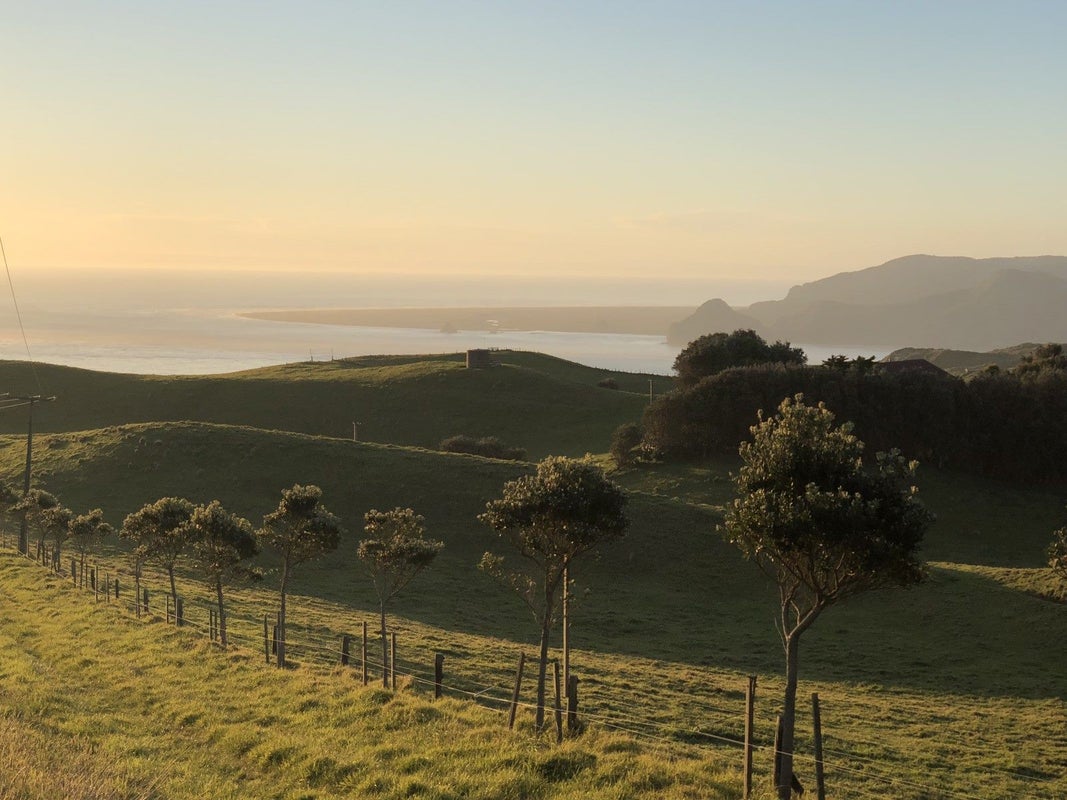 0 Dickey Road, Manukau Heads, Awhitu - Carousel 2
