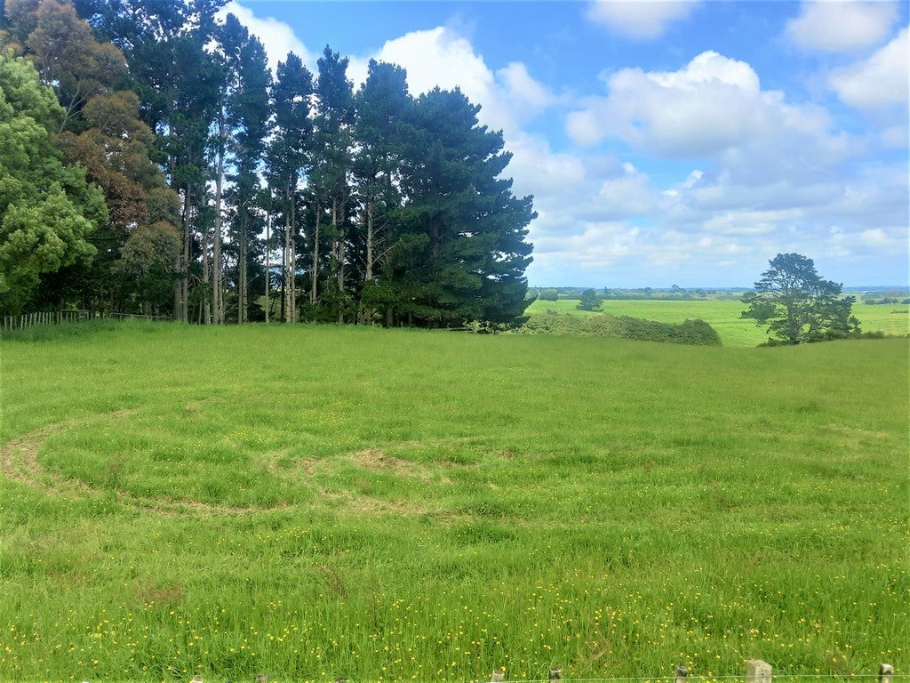 170 Kaihinau Road, Shannon, Palmerston North - Carousel 12