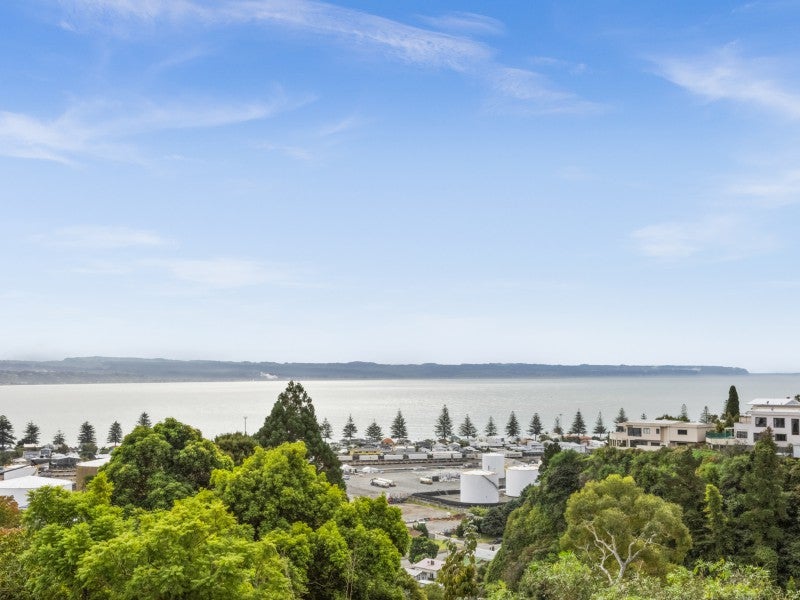 14 George Street, Hospital Hill, Napier - Carousel 2