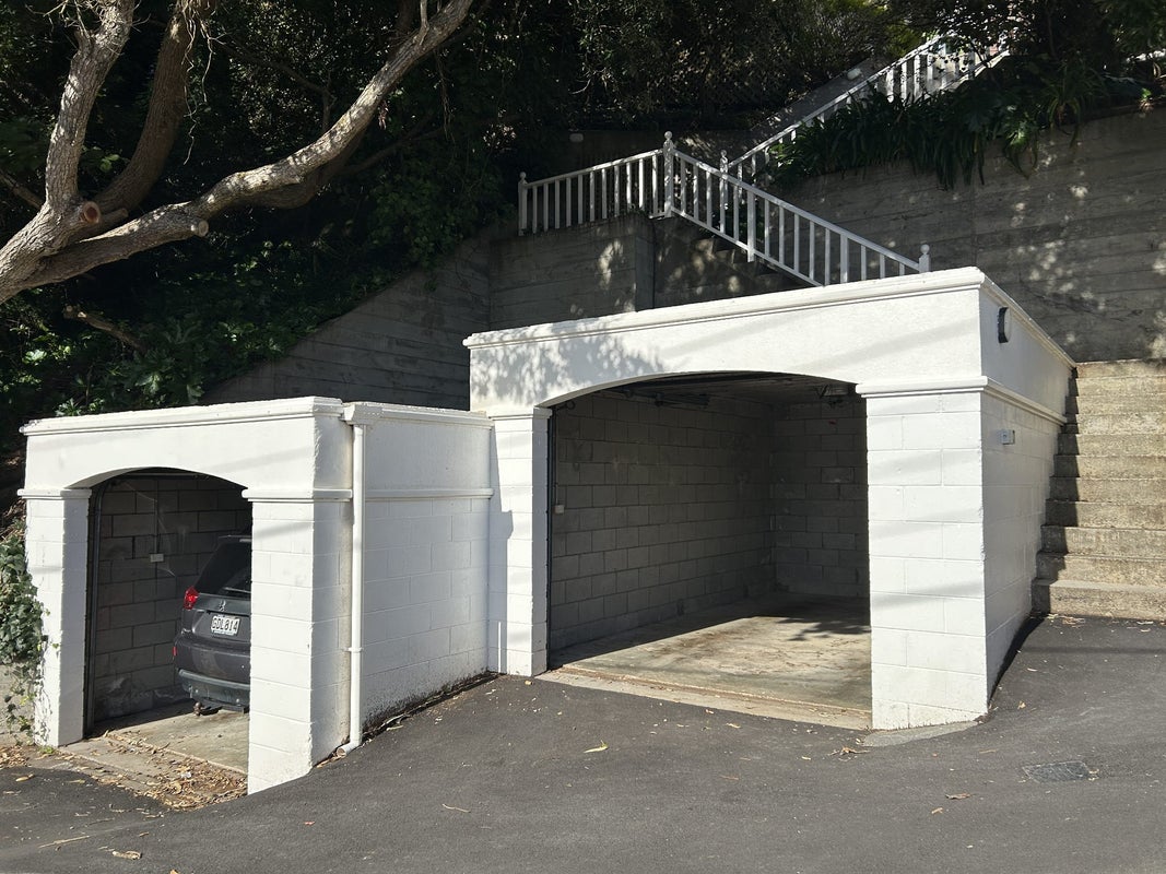 2/1 Wilkinson Street, Oriental Bay, Wellington - Carousel 31