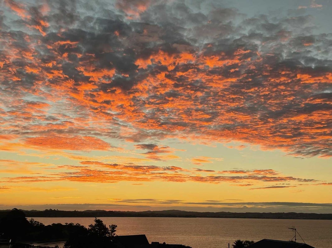 9 Siesta Terrace, Gulf Harbour, Rodney, Auckland - Carousel 19