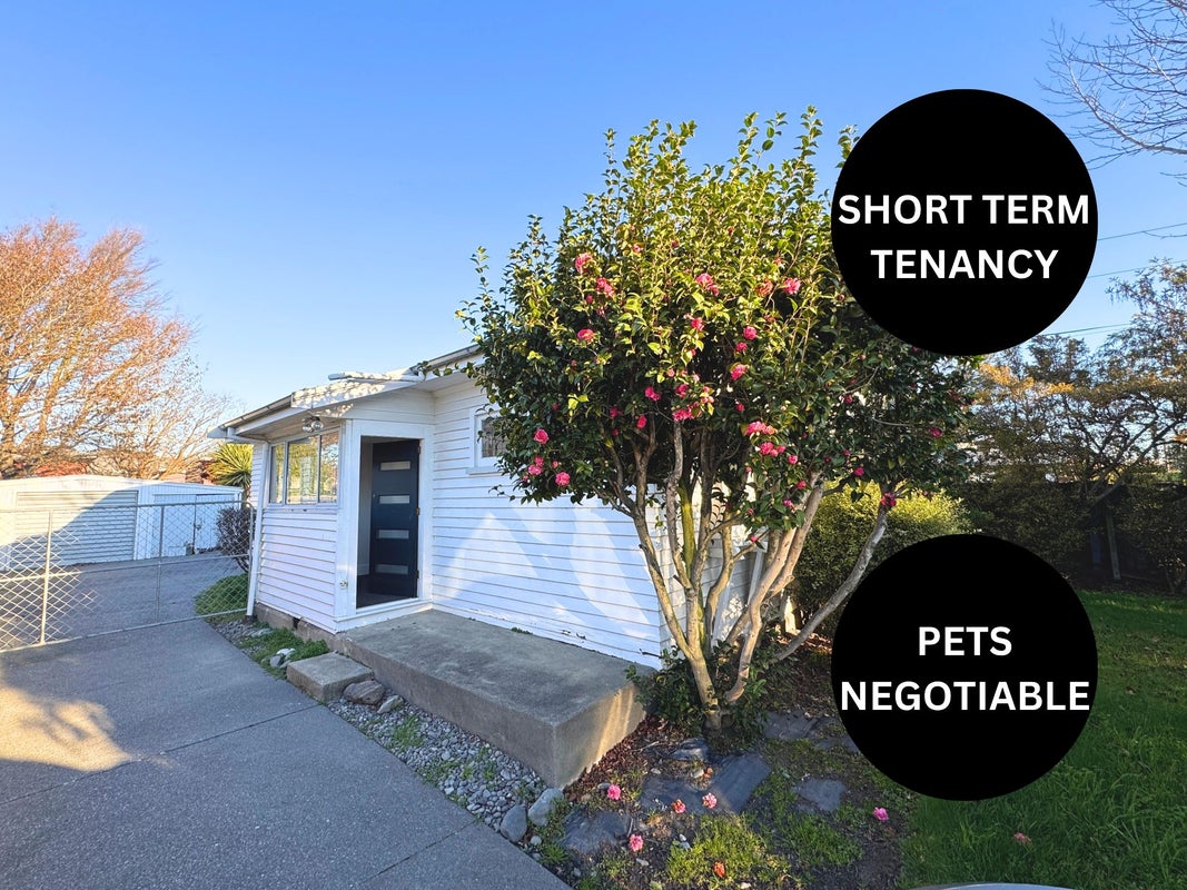 20 Milton Street, Somerfield, Christchurch - Carousel 1