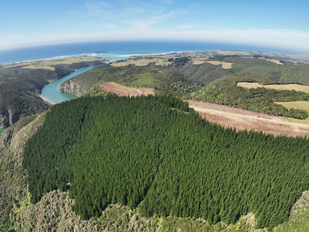 0 Finlayson Rd, Taieri Mouth - Carousel 2