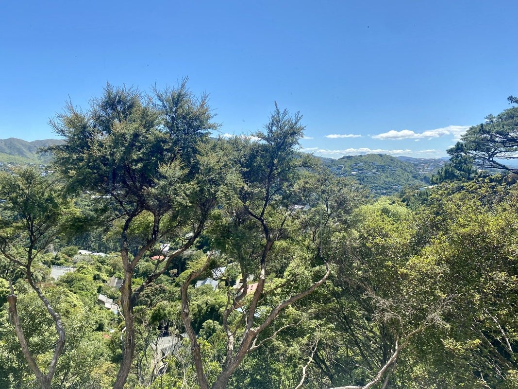 84B Cecil Road, Wadestown, Wellington - Carousel 11