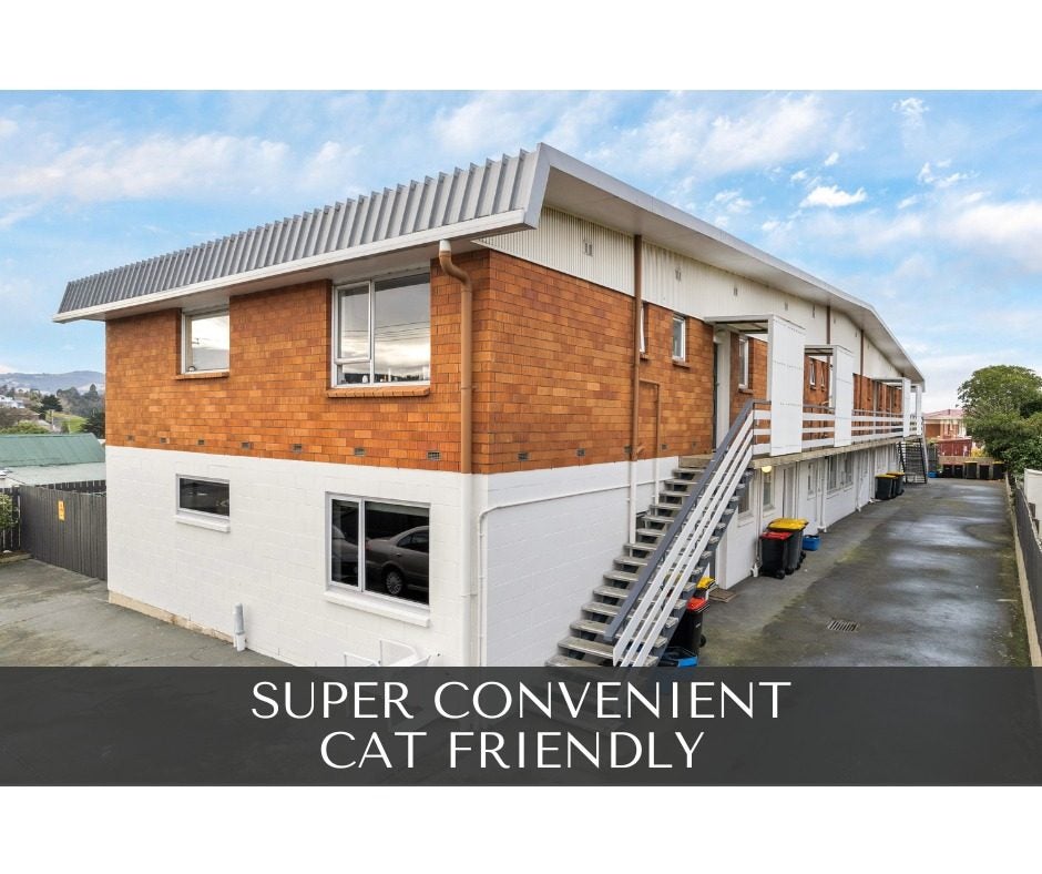 7A Lawrence Street, Mornington, Dunedin - Carousel 1