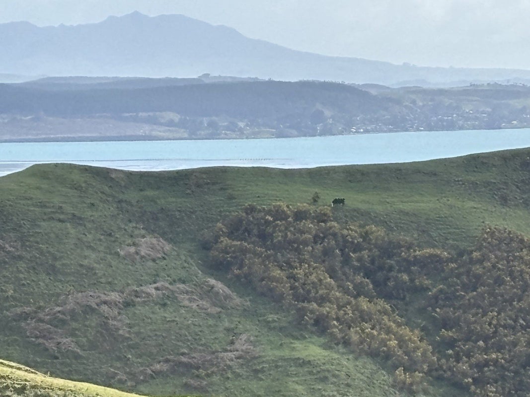 965 Te Waitere Road, Taharoa, Te Kuiti - Carousel 17