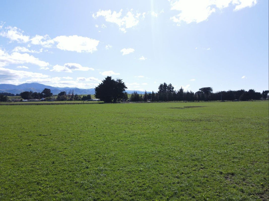 77068 State Highway 2, Dannevirke, Dannevirke - Carousel 2