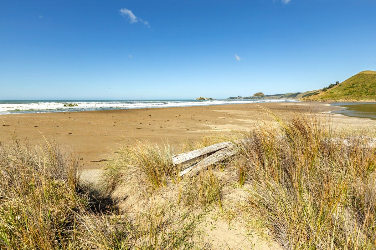 0 Masterton Castlepoint Rd, Te Ore Ore, Masterton - Carousel 9