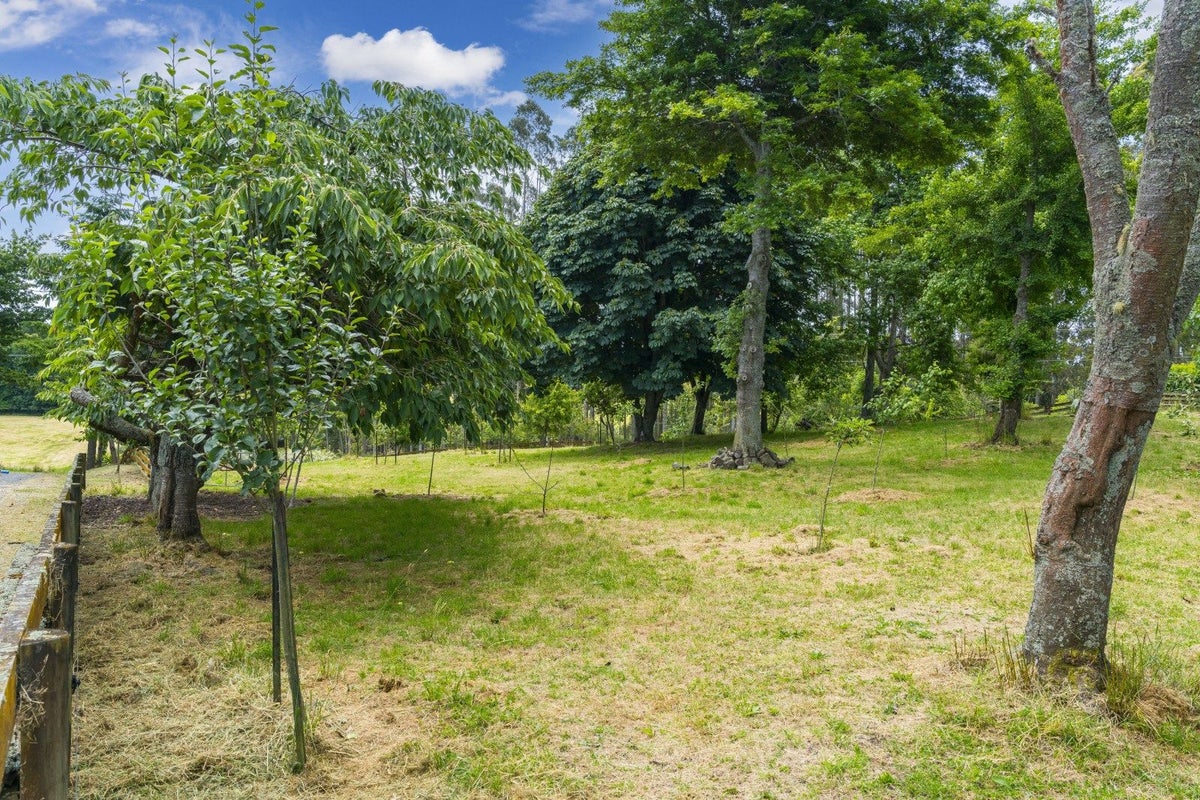 427 Palmer Mill Road, Wairakei, Taupo - Carousel 2