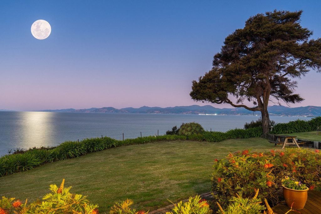15 Aporo Road, Ruby Bay, Upper Moutere - Carousel 20