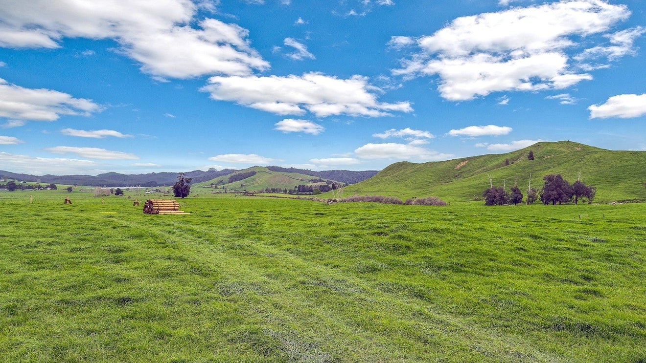 288 Dimmock Road, Waitakaruru, Ngatea - Carousel 16