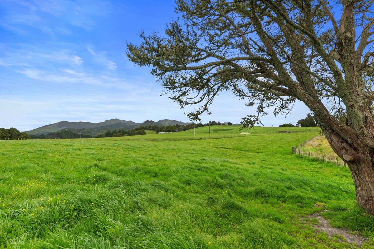 0 Pukehuia Road - Carousel 2