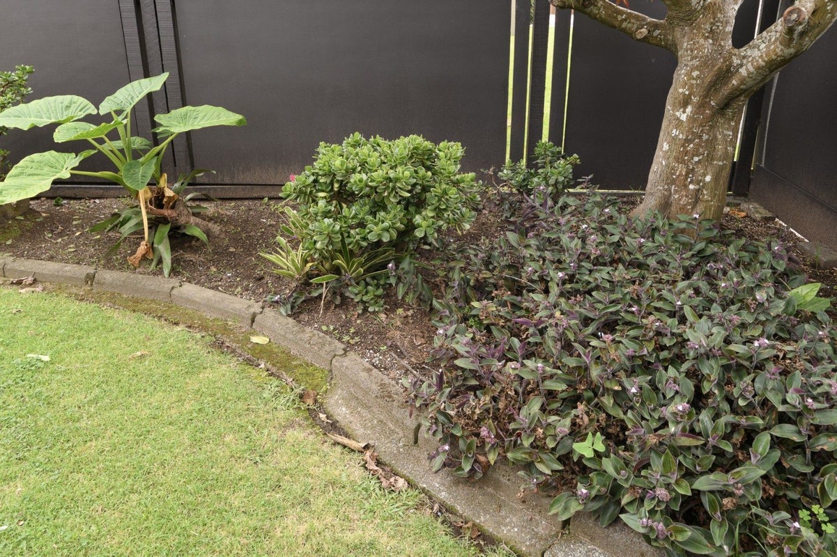 14B Levers Road, Matua, Tauranga - Carousel 20