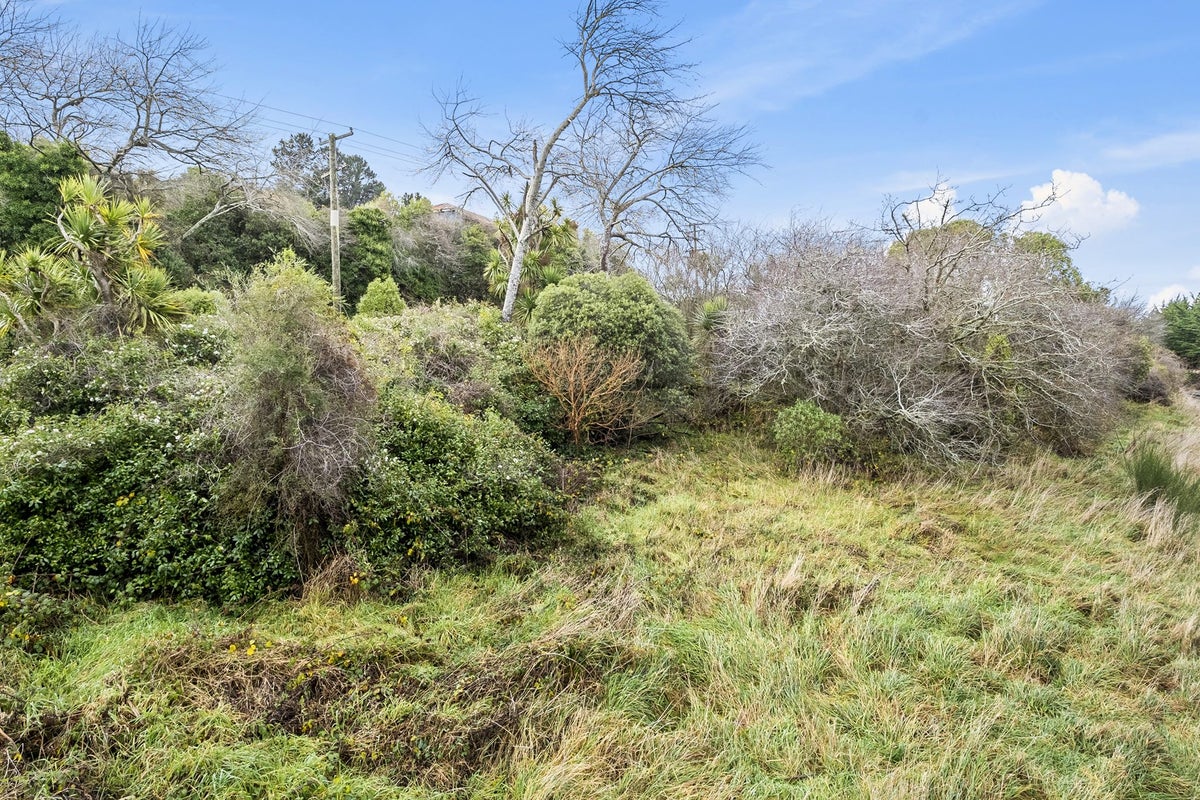 710 Coast Road, Seacliff, Waikouaiti - Carousel 9