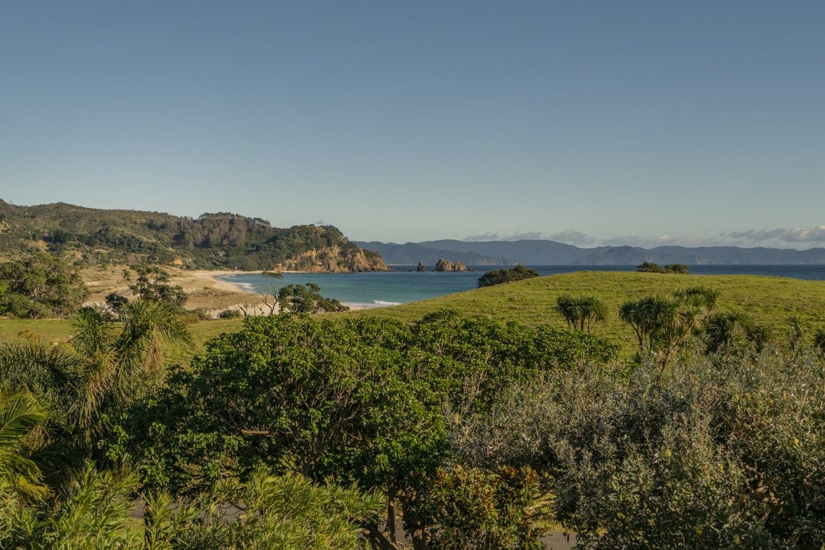 14 Otama Beach Road, Opito Bay, Whitianga - Carousel 19