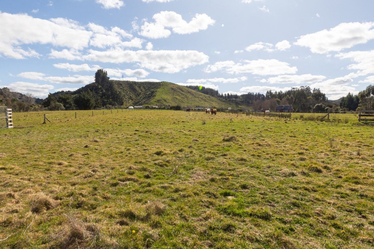 1195D Pohangina Road, Pohangina, Ashhurst - Carousel 44