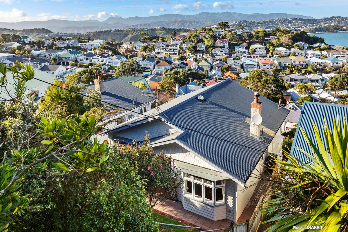 13 Rakau Road, Hataitai, Wellington - Carousel 2
