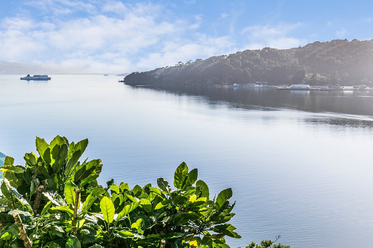 2 Akautangi Way, Hataitai, Wellington - Carousel 2