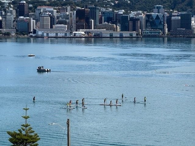 22/370 Oriental Parade, Oriental Bay, Wellington - Carousel 14