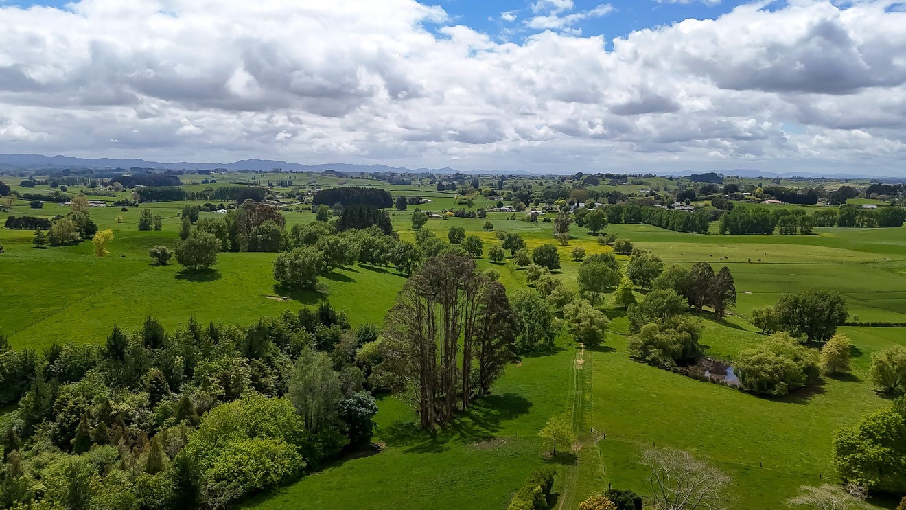 76 Fletcher Road, Ngahinapouri, Ohaupo - Carousel 2