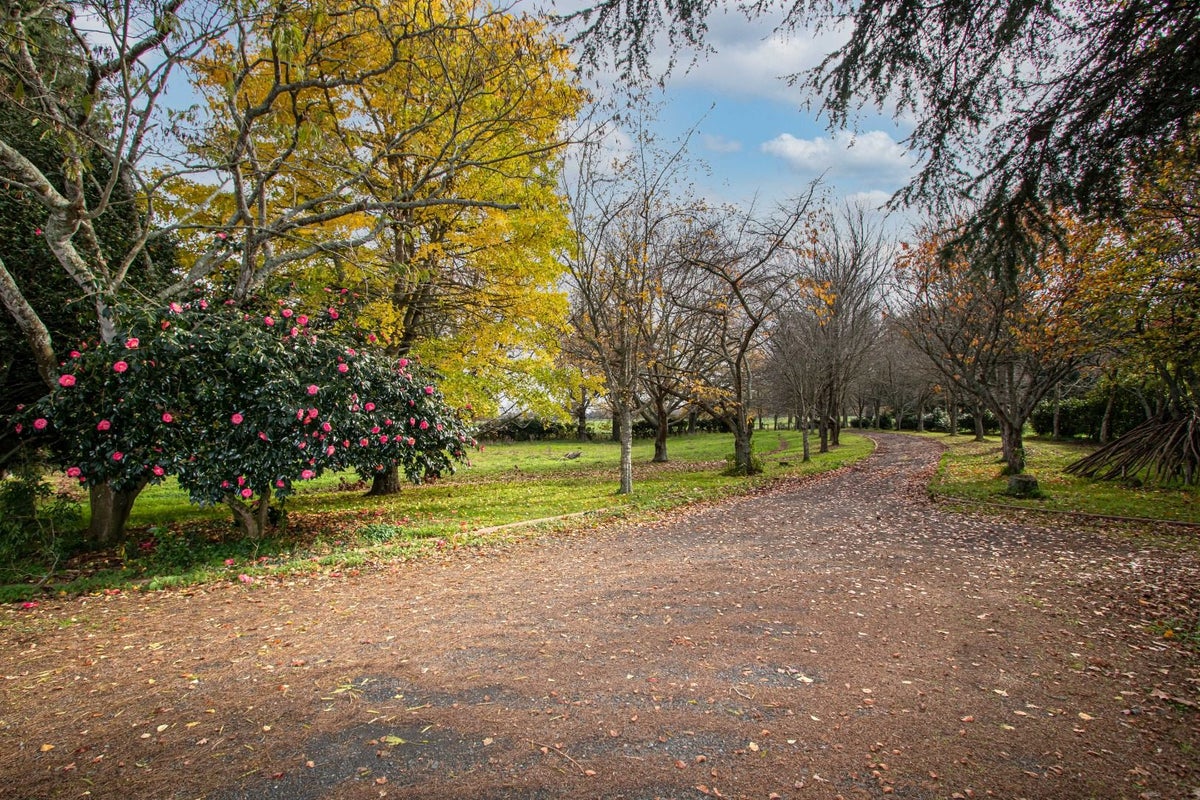 654 Victoria Road, Pukemoremore, Cambridge - Carousel 20