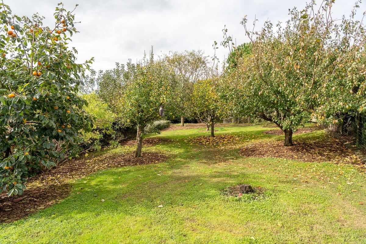 10C Bell Road, Whatawhata, Hamilton - Carousel 30
