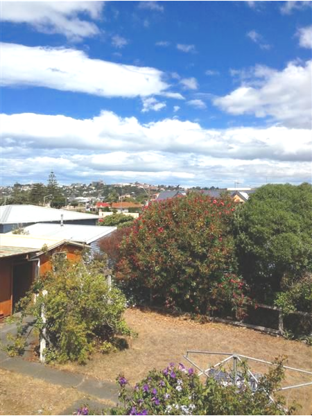 11A Ferguson Avenue, Westshore, Napier - Carousel 16