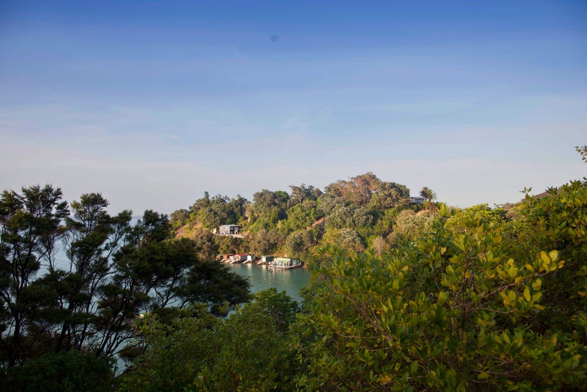 5 Upland Road, Omiha, Waiheke Island - Carousel 2