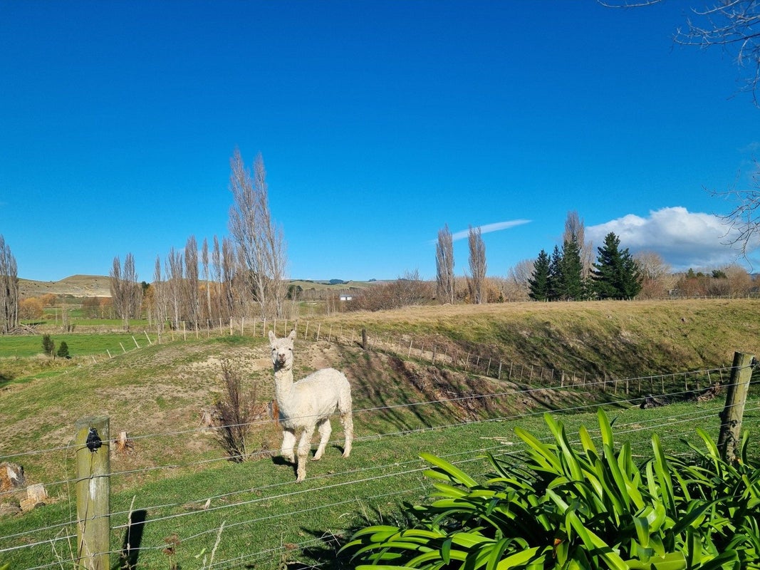 2/82 Station Road, Takapau, Waipukurau - Carousel 25