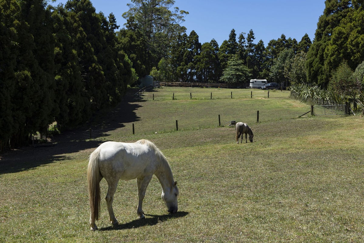 41 Te Ra Road, Kaeo, Kerikeri - Carousel 29