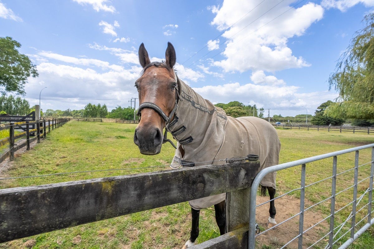 193A Duncan Road, Tamahere, Hamilton - Carousel 33