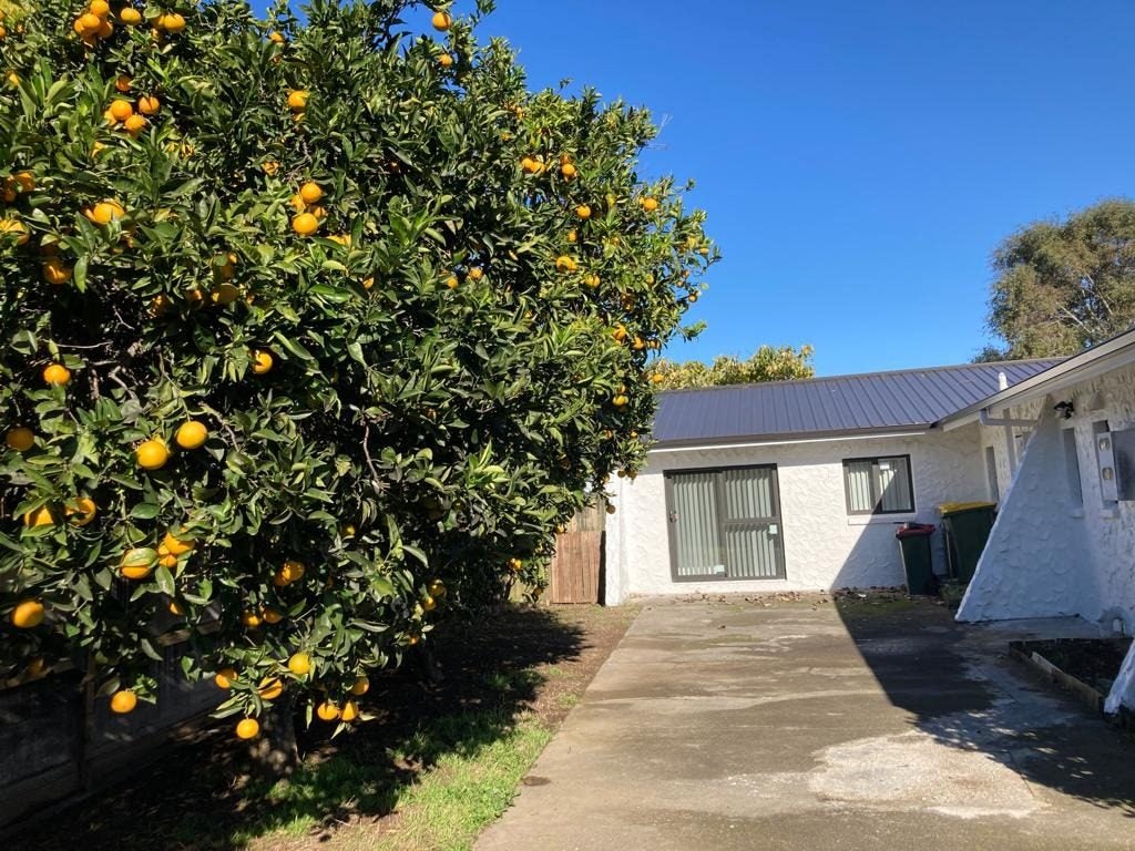 10 Gulliver Place, Conifer Grove, Takanini - Carousel 1
