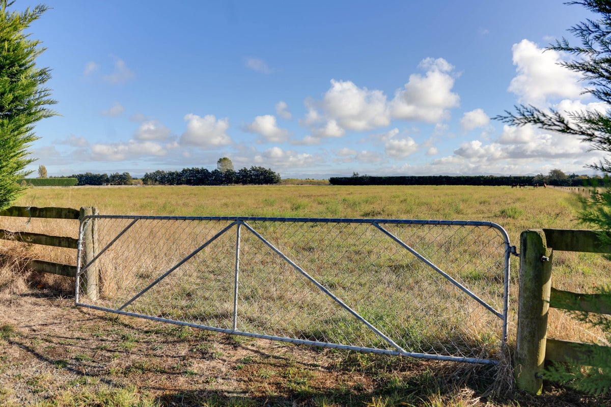 265 Lehmans Road, Fernside, Rangiora - Carousel 2