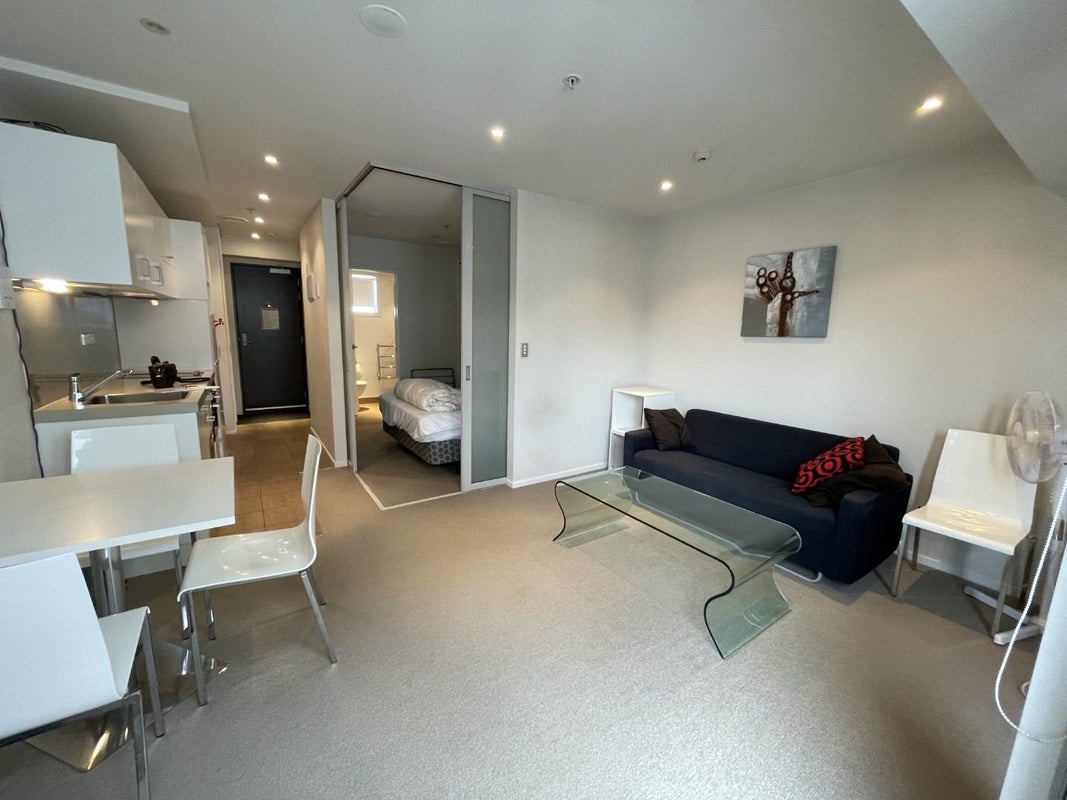 1321/74 Taranaki Street, Te Aro, Wellington - Carousel 18