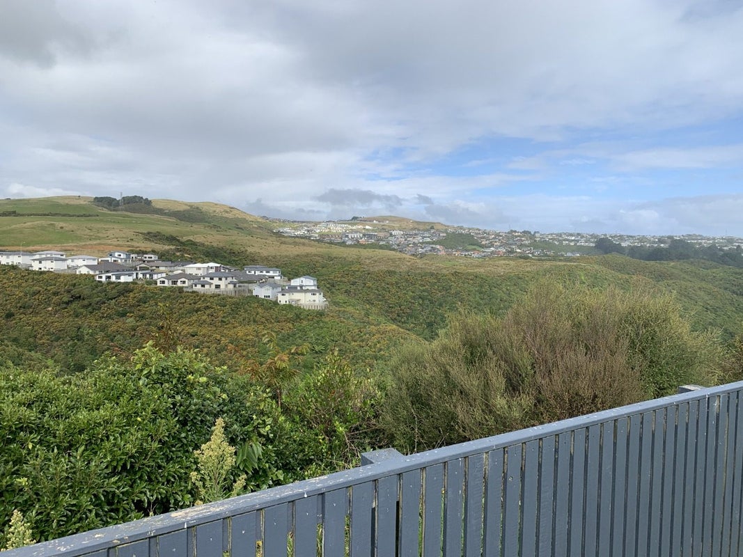 188 Mark Avenue, Grenada Village, Wellington - Carousel 1