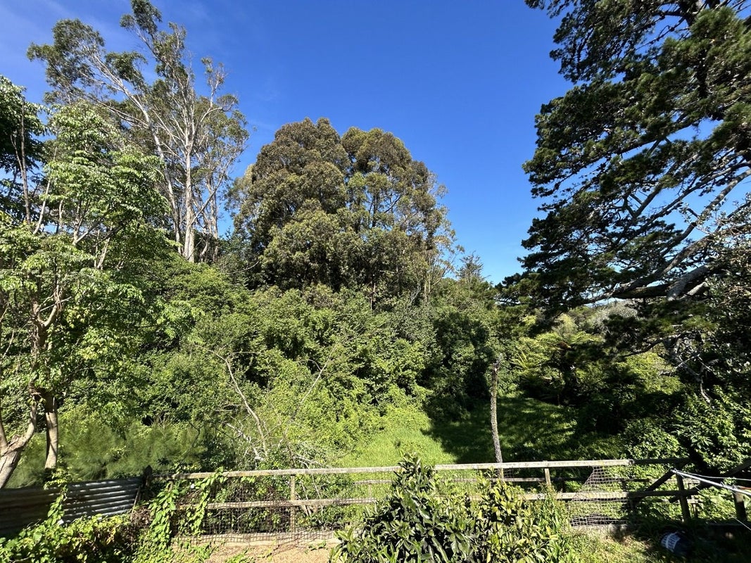 3B Coventry Street, Judea, Tauranga - Carousel 2