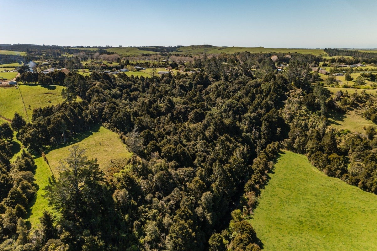 519 Puketotara Road, Waipapa, Kerikeri - Carousel 22