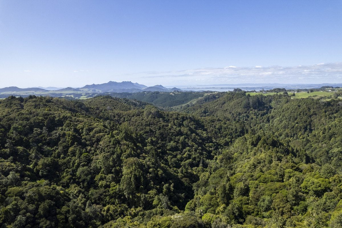 33 Ngapuke Lane, Onerahi - Carousel 26