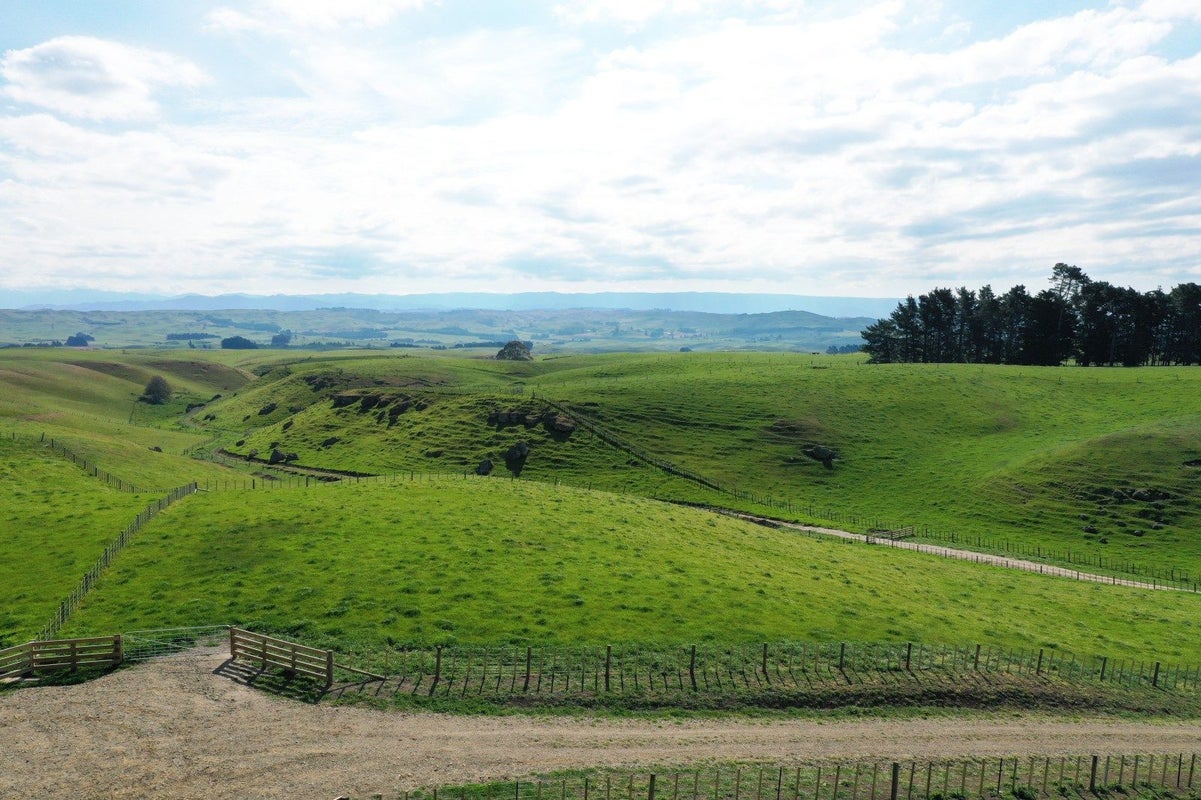 0 Whakapirau Road, Raukawa, HASTINGS - Carousel 1