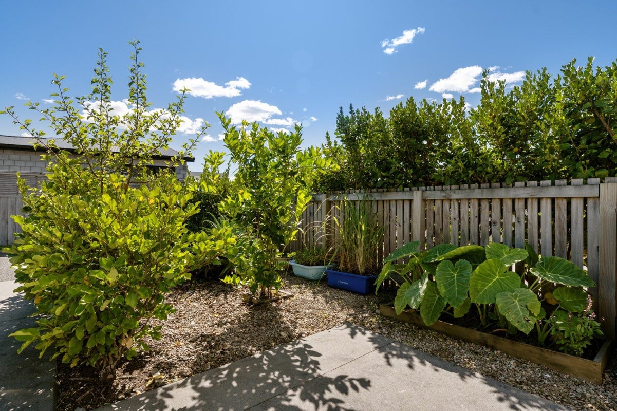24 Foley Grove, Pyes Pa, Tauranga - Carousel 16