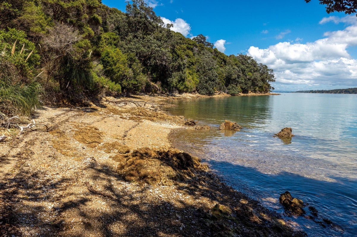 1 Kennedy Point Road, Surfdale, Waiheke Island - Carousel 20