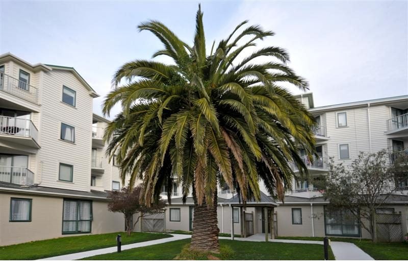 A9/13 Palm Grove, Berhampore, Wellington - Carousel 1