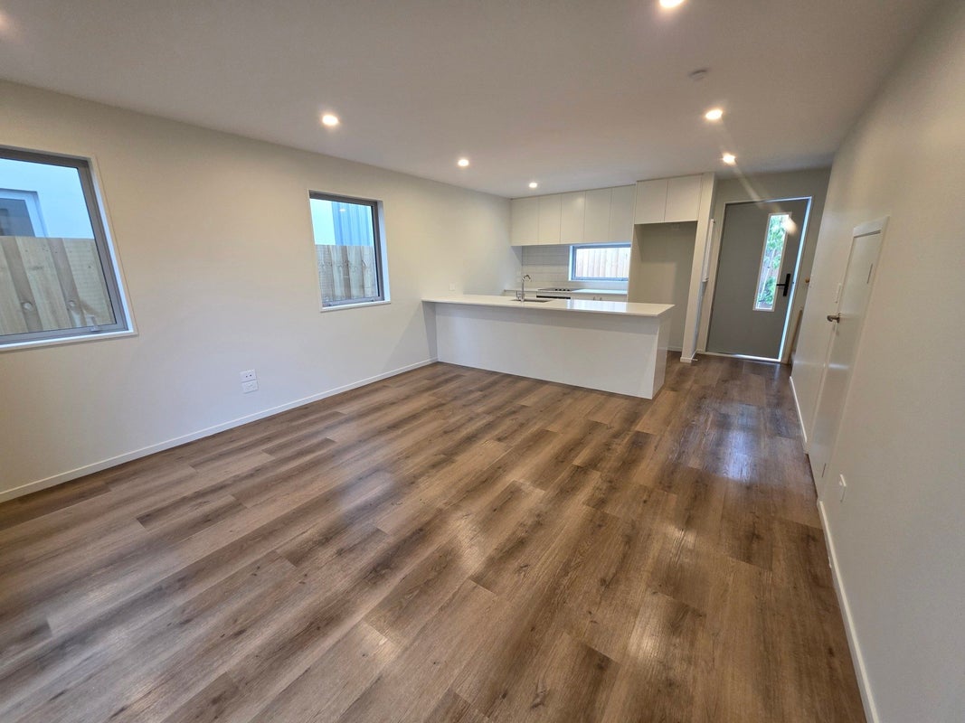 14 Clive Street, Phillipstown, Christchurch - Carousel 1