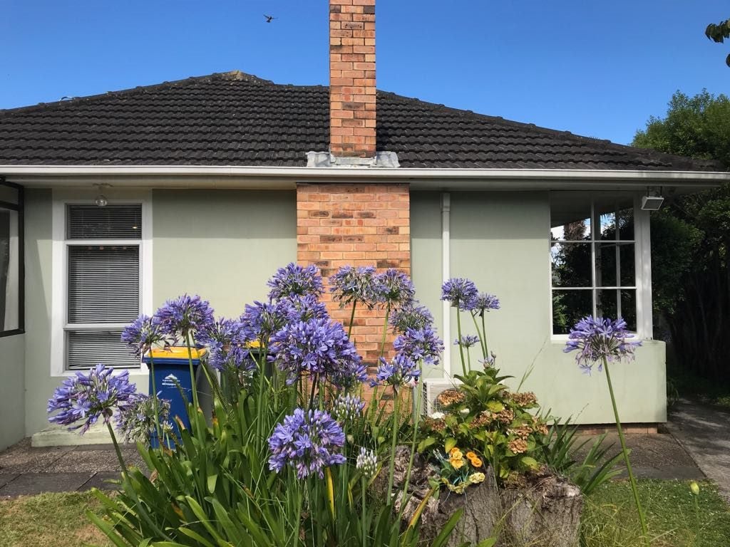 185 Birkdale Road, Birkdale, Auckland - Carousel 18