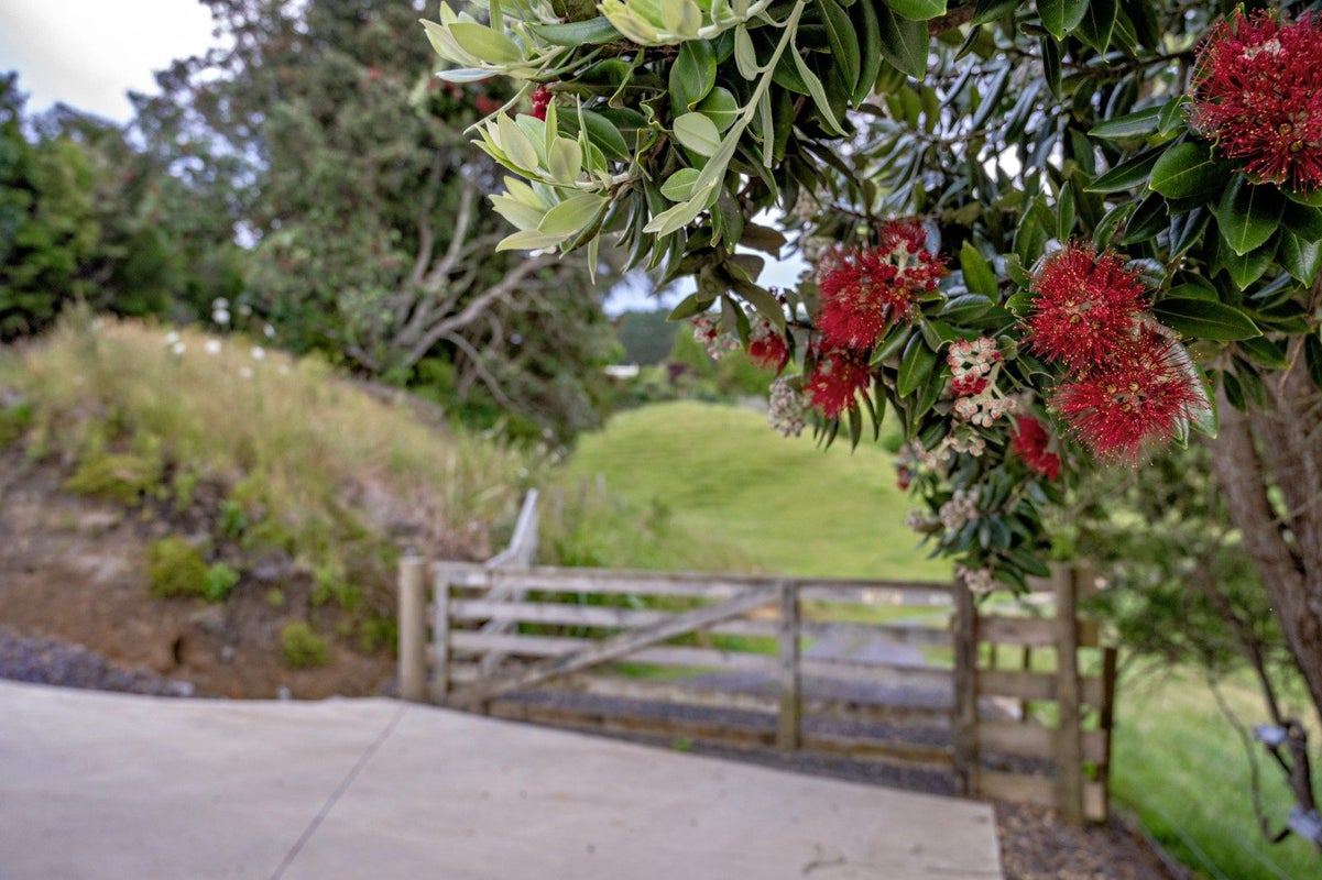 61 Iramoko Lane, MANAWAHE, WHAKATANE - Carousel 9